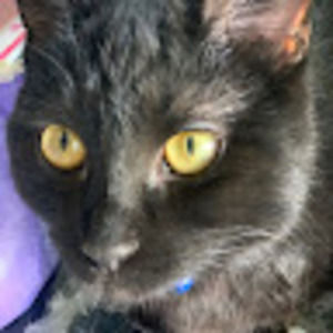 Meet your Posher, Dayana